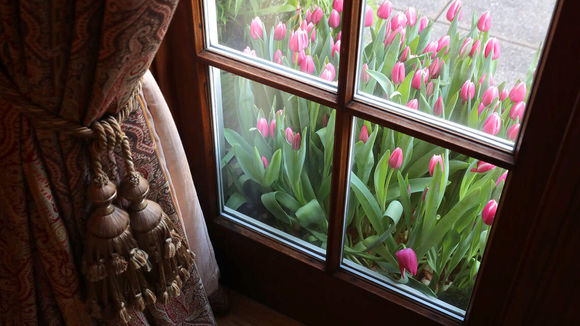 A First-Time Homeowner’s Room-by-Room Guide to Choosing the Right Curtains