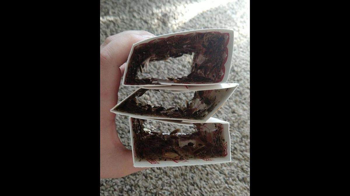 Tenants at Quality Hill Towers say a cockroach problem is out of control at the apartment complex in downtown Kansas City.