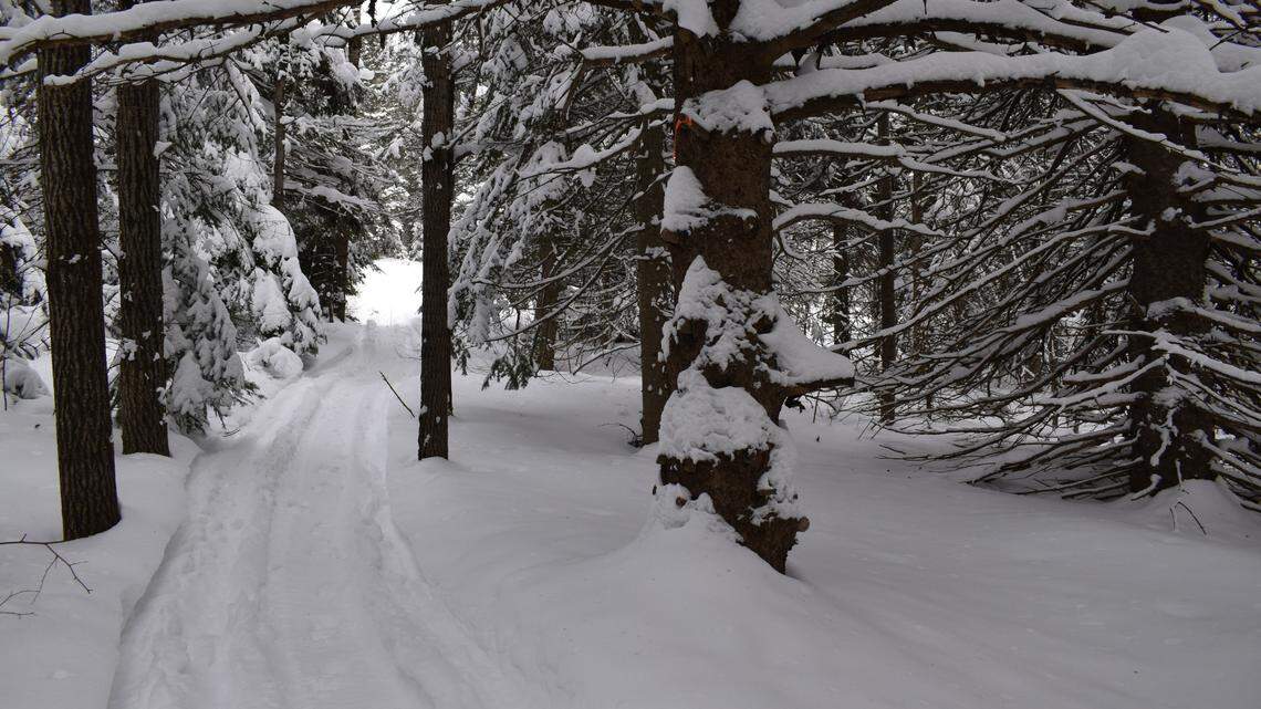File photo of a snowmobile trail. A 26-year-old woman recently died in a crash after she went off a trail in Michigan, authorities said.