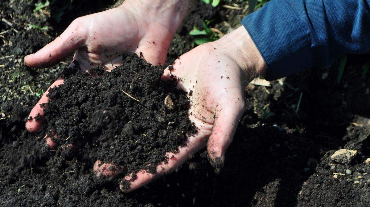 Nitrogen is the key macro-nutrient that will always need re-supplementation in the soil. Plants actively deplete this nutrient during the growing season as they produce chlorophyll and photosynthesize, ultimately feeding the plants.