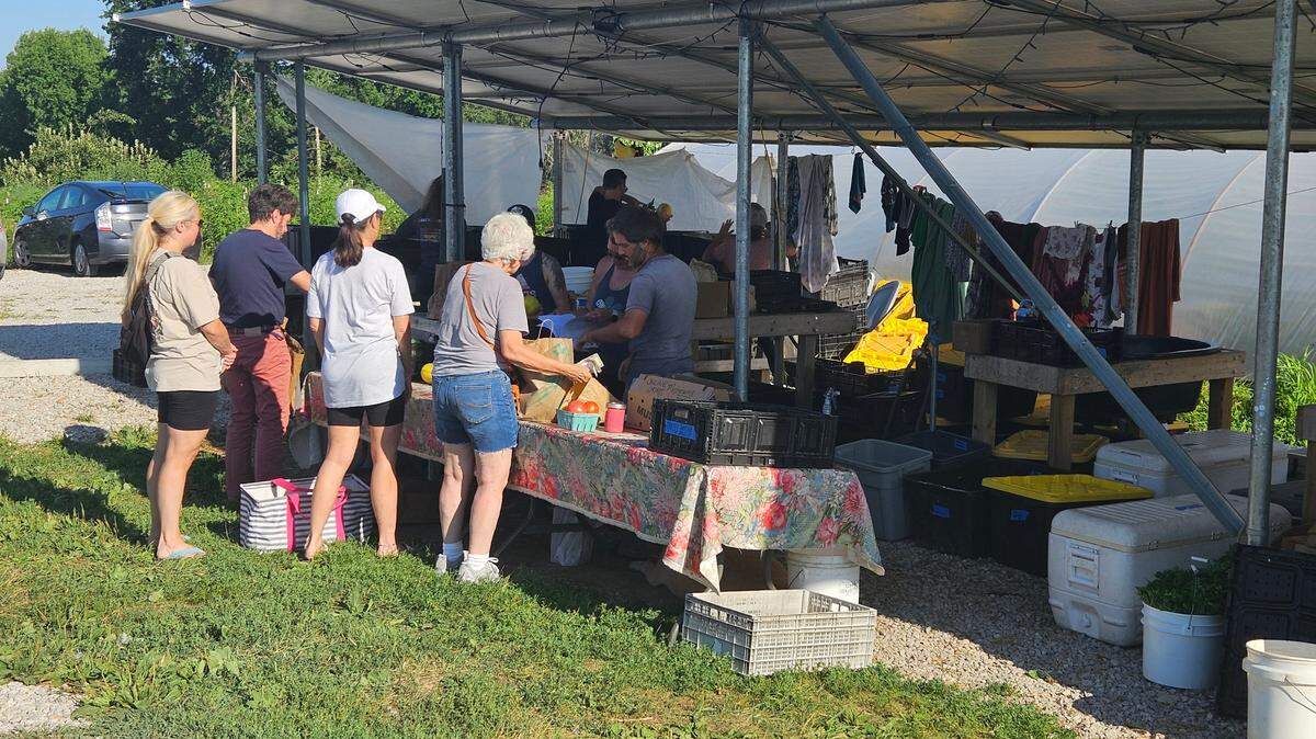 Customers line up to purchase fresh produce at Urbavore Urban Farm.