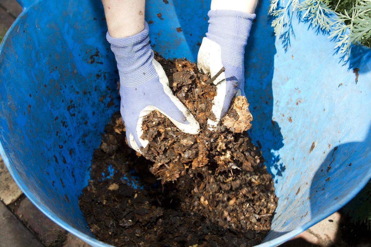 Compost can be an important part of making the proper soil mixture for garden beds.