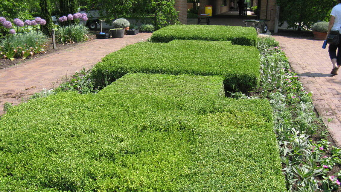 No need to step out of the box, but this landscape staple isn’t without problems