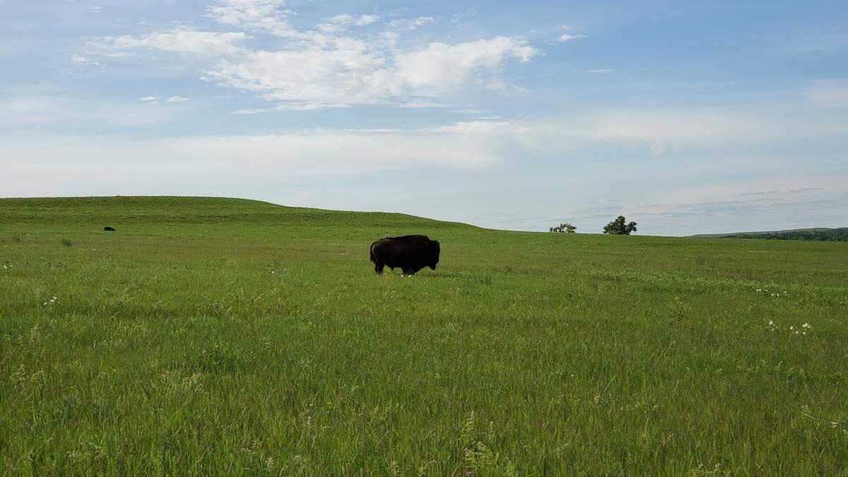 Tallgrass Prairie National Preserve.