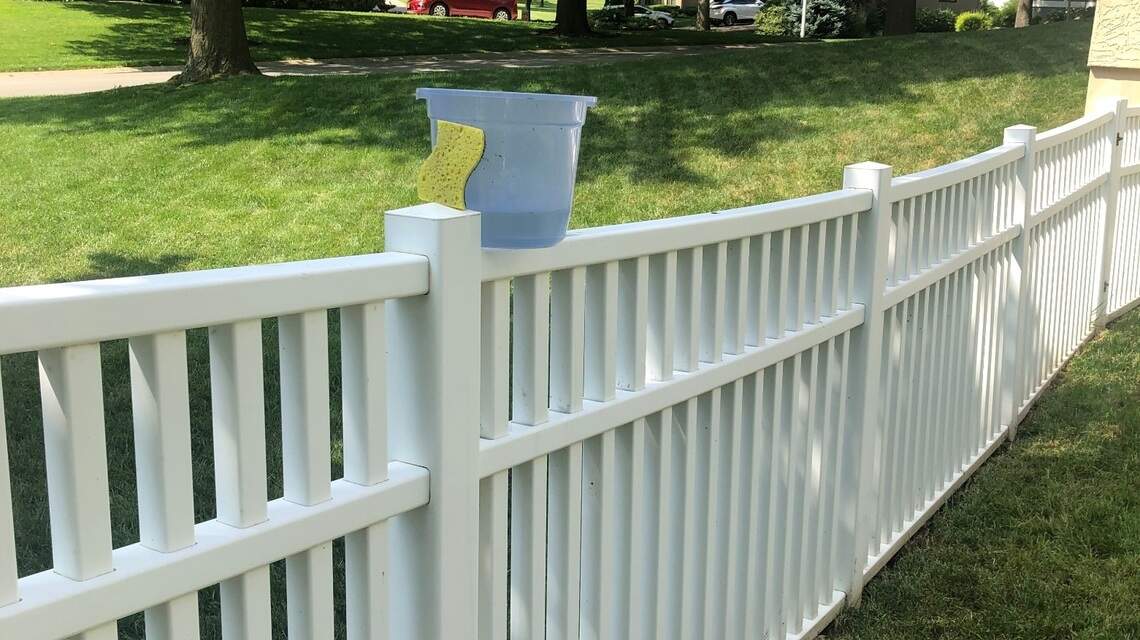 This wandering beast is the neighborhood bird porta-potty. Coping with it takes grit
