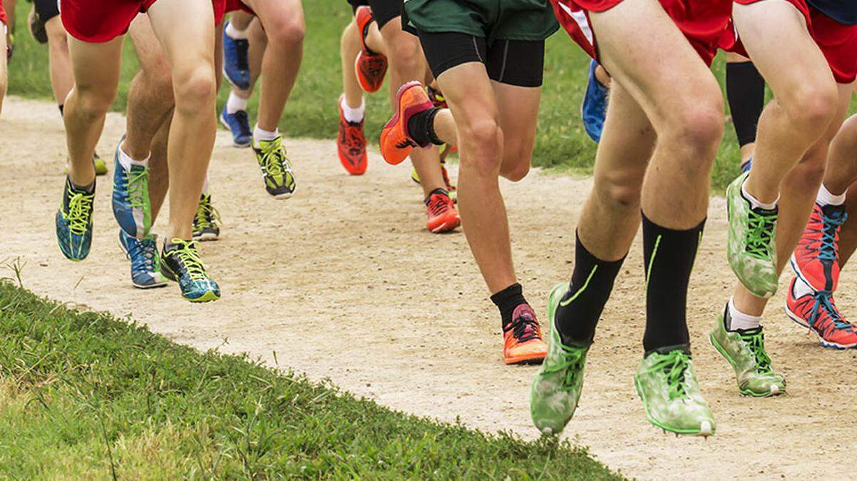 The Liberty North boys cross country rode an an individual state championship and strong showing from supporting runners to the Class 5 team title Friday at Gans Creek in Columbia.