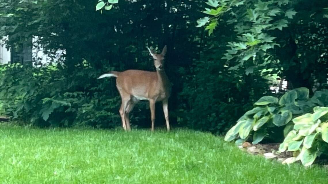 As Father’s Day approaches, she finds a sign that her dad is always present