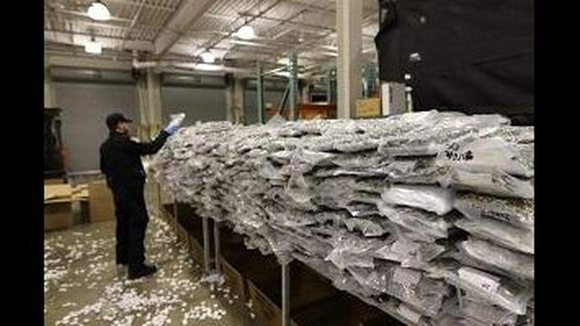 U.S. Customs and Border Protection found and seized over a ton of marijuana disguised as “pool toys” in a shipment inspected in Detroit, Michigan.