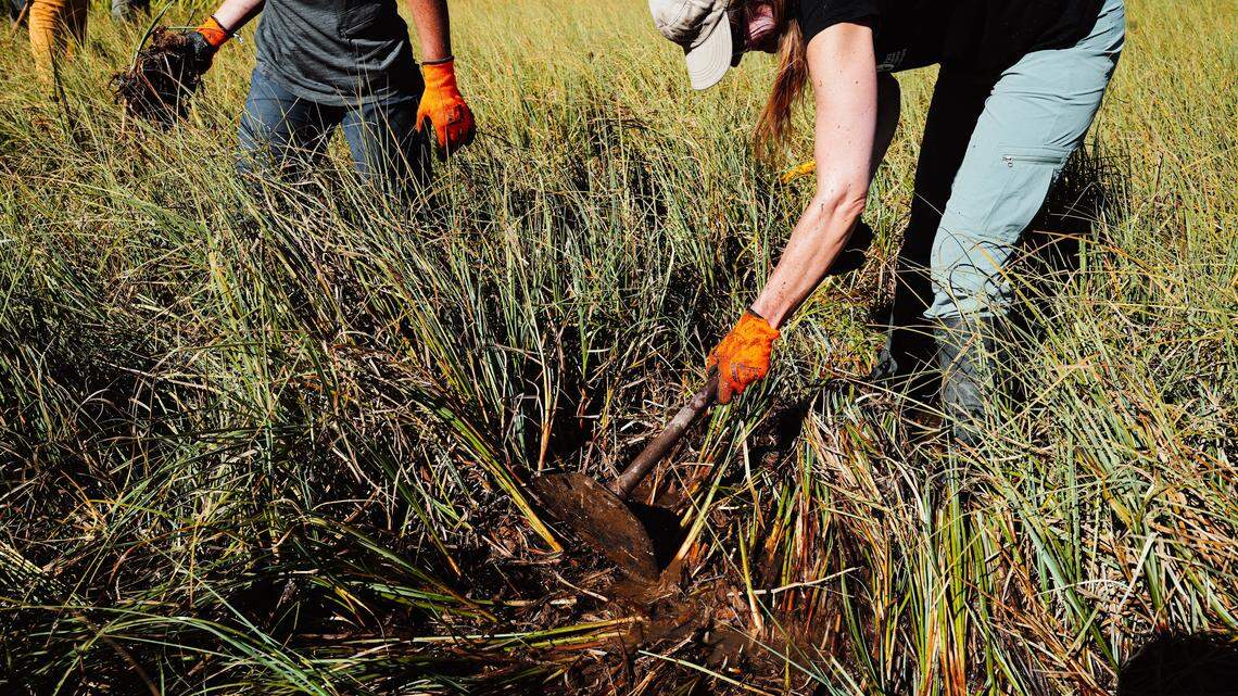 If You Do Nothing Else This Spring, Do These 7 Gardening Tasks Before Summer Heat Destroys Your Yard