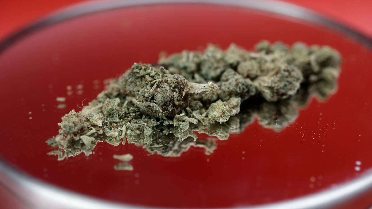The Drug Enforcement Administration has updated its list of slang terms and code words for a number of drugs, including more than 250 nicknames for pot.