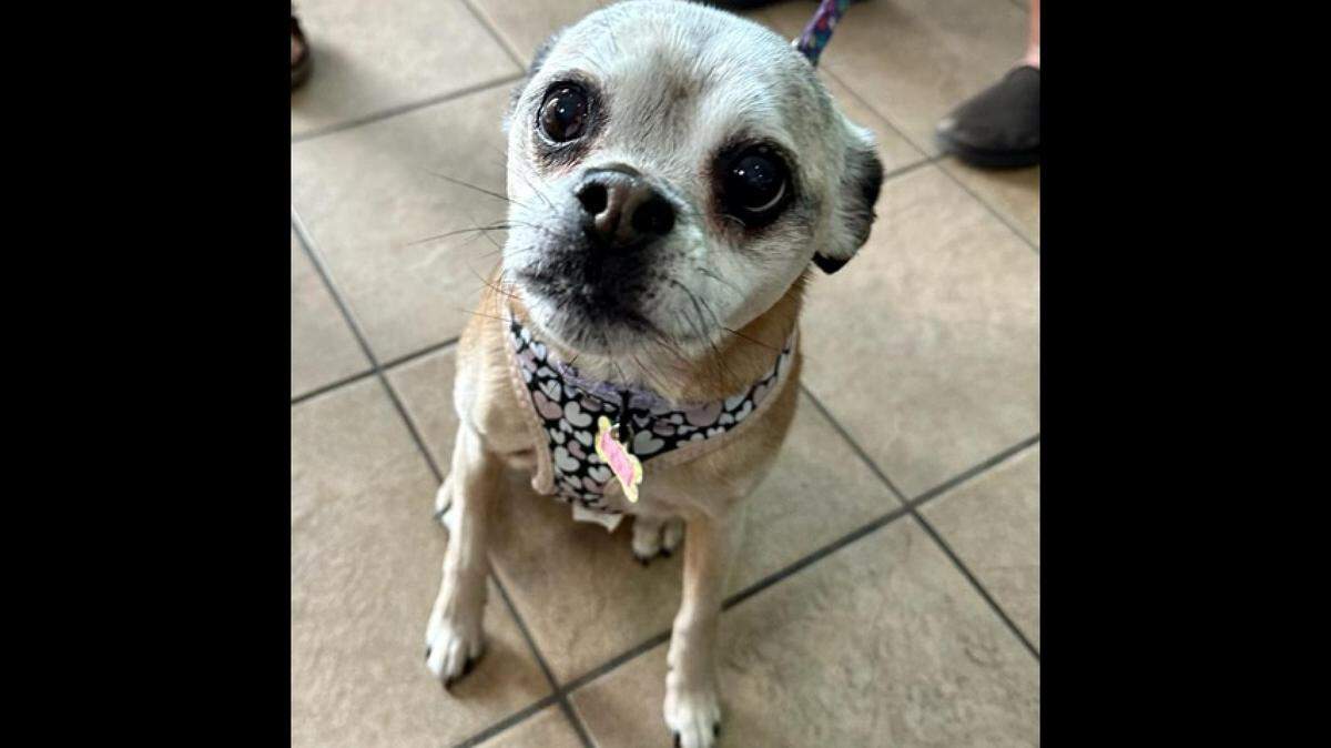 Emmie