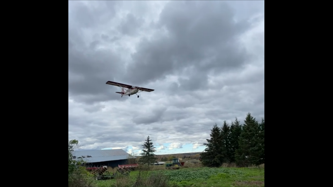 Witnesses said the pilot was flying low, according to the NTSB report.