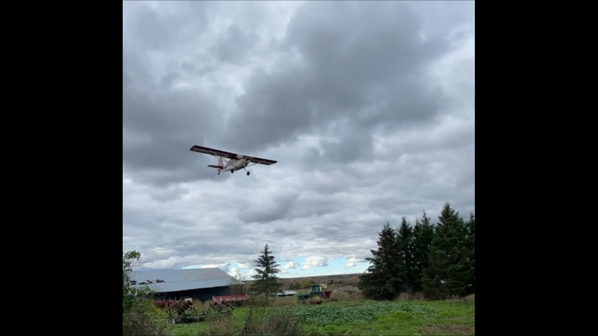 Witnesses said the pilot was flying low, according to the NTSB report.