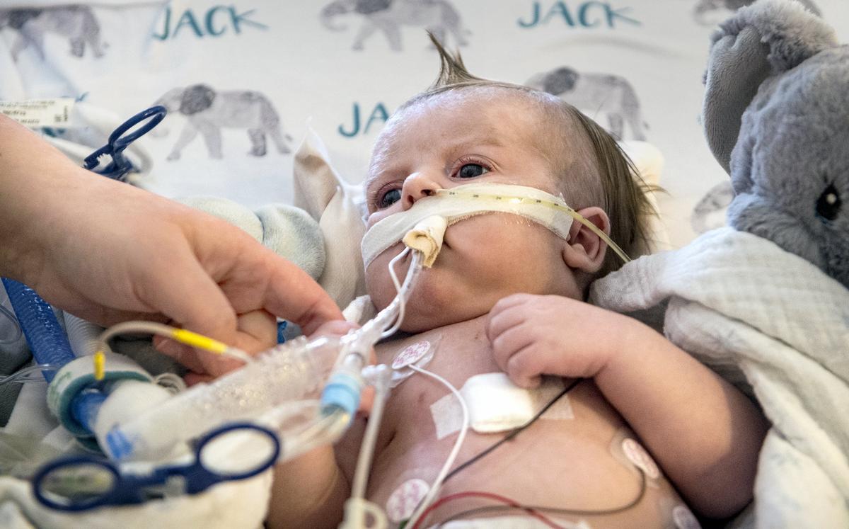 The hospital staff at St. Louis Children’s Hospital was captivated by Jack Palmer’s mohawk and intense dark-eyed gaze.