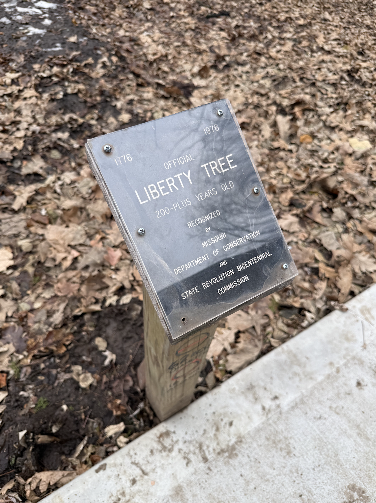 A plaque memorializes a tree in the Historic Northeast as a “liberty tree.” It will be removed in 2026 due to fungal root disease.