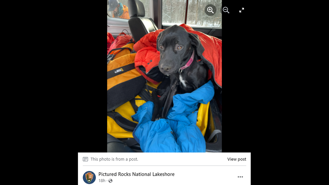 Dancer, a 3-year-old dog from Minnesota, was hiking with her family when she fell 60 feet from a cliff in Michigan, rescuers said.