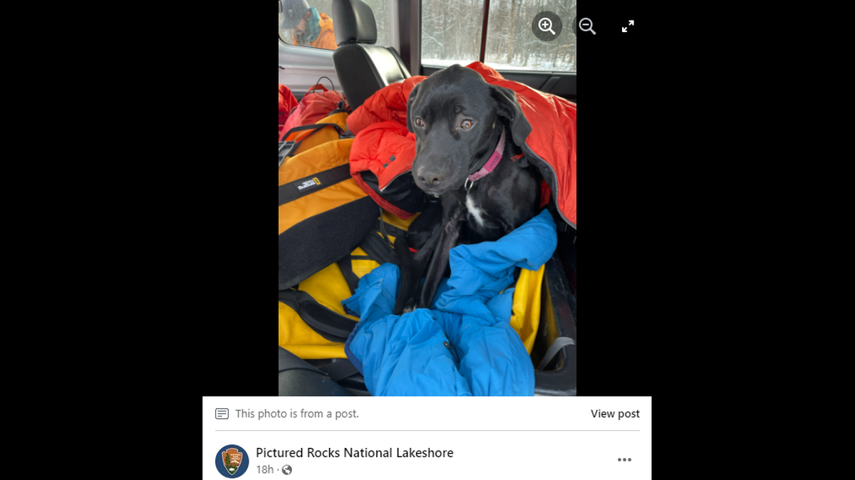 Dancer, a 3-year-old dog from Minnesota, was hiking with her family when she fell 60 feet from a cliff in Michigan, rescuers said.
