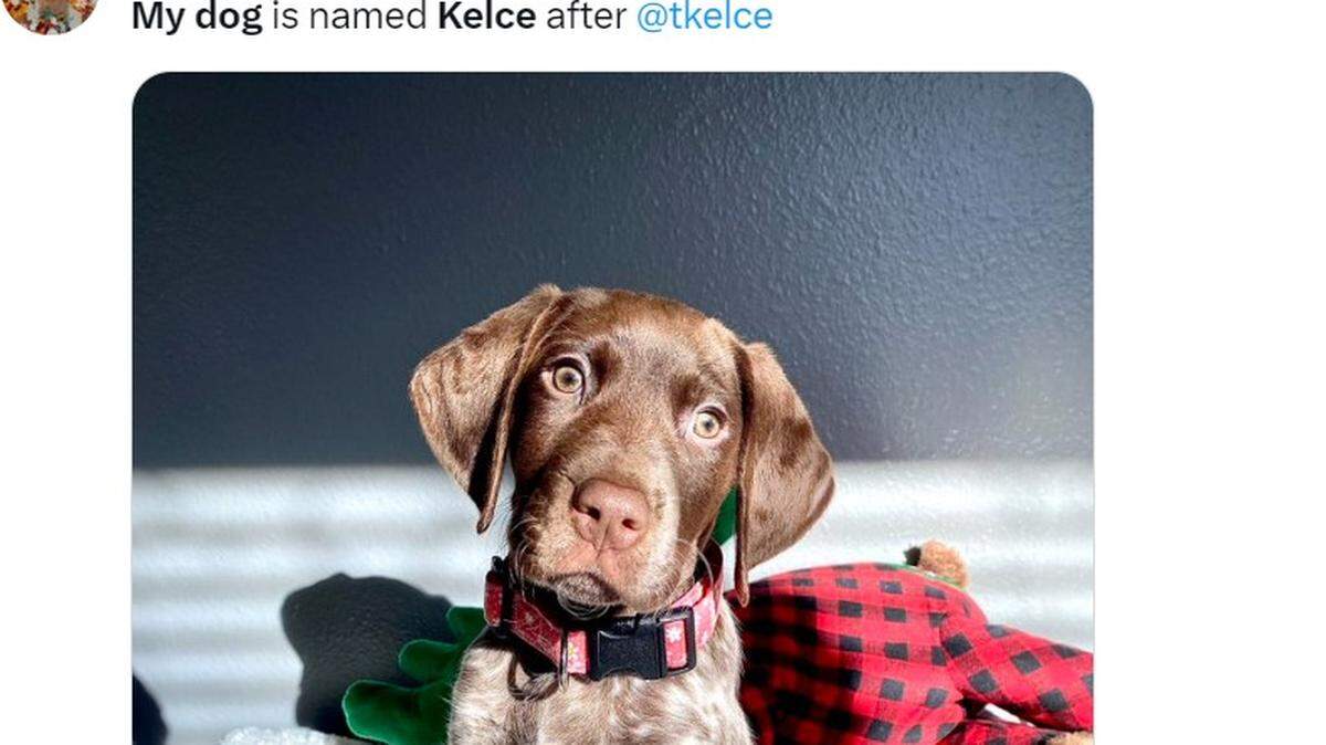 Kelce the dog.