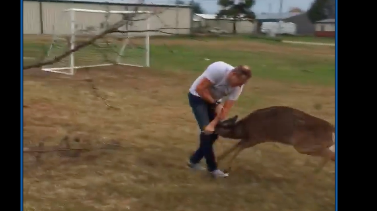 Oklahoma pastor Travis Hurst was attacked on video by a rutting deer while working in the woods for church. The buck rammed him and would not give up, forcing him to wrestle with its antlers before it left.