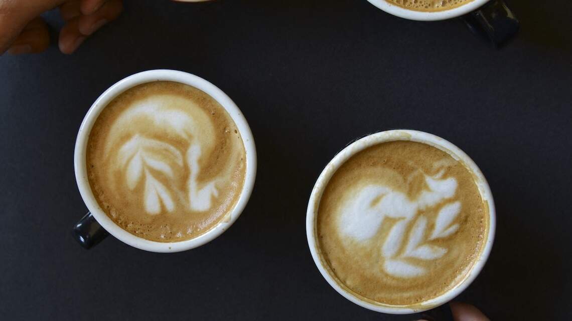 How Long Does a Caffeine Tolerance Reset Take? Here’s What the Research Actually Confirms