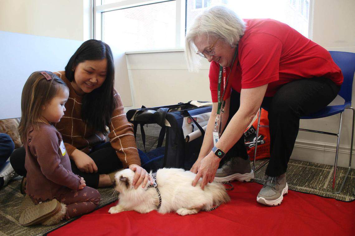 Leawood residents Lyla Scott, 2, and Ally Scott meet Leo the cat and his handler, Kathy Madsen at Leawood Library.