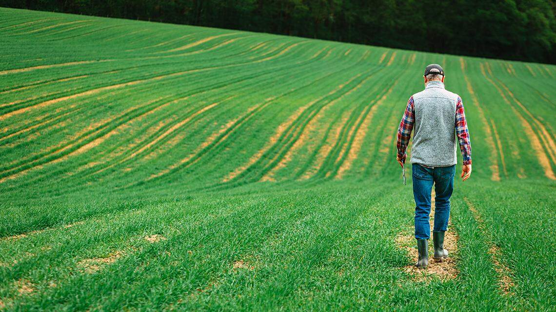 Faith | Are ‘weeds’ invading your life? Apply this remedy