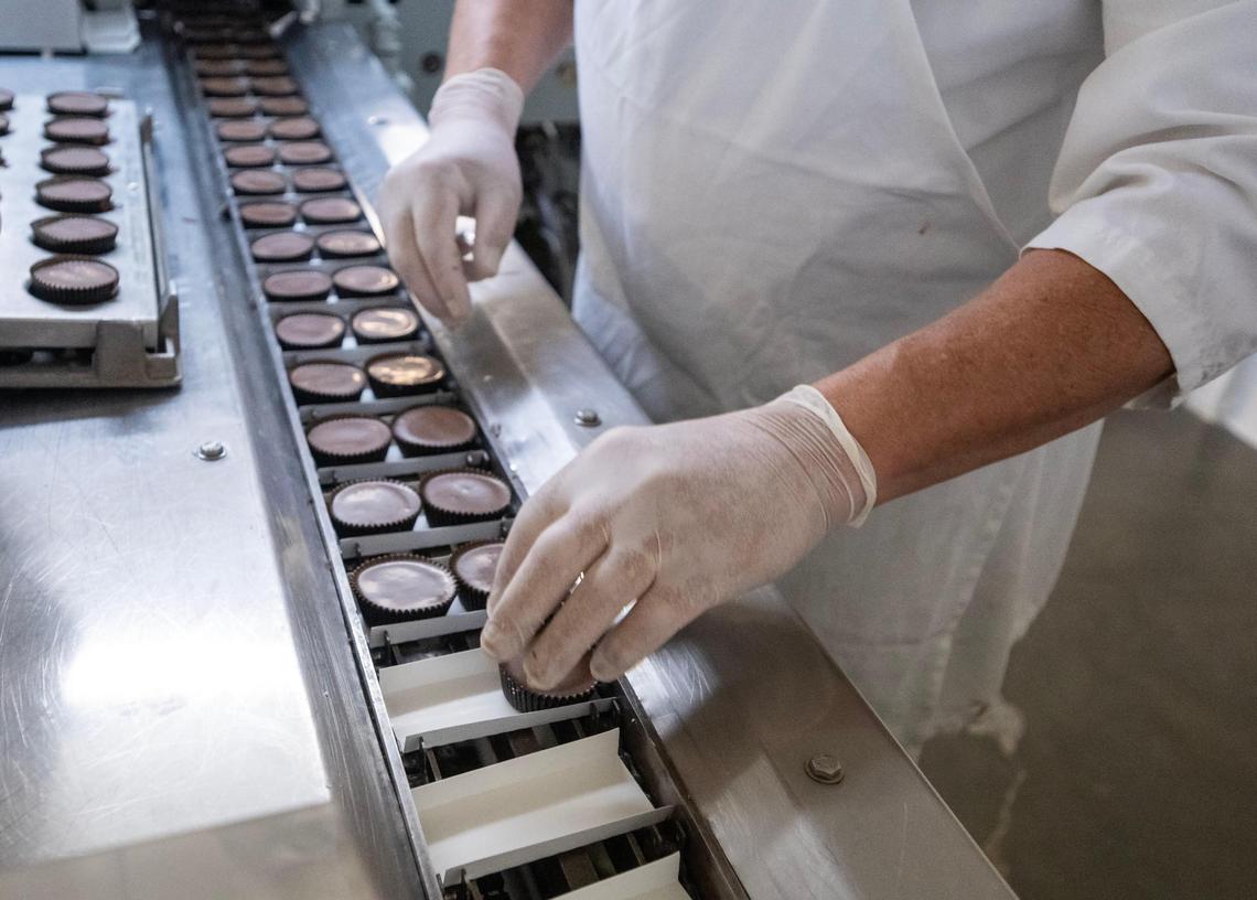 Valomiks are hand-placed onto a conveyor belt for packaging.