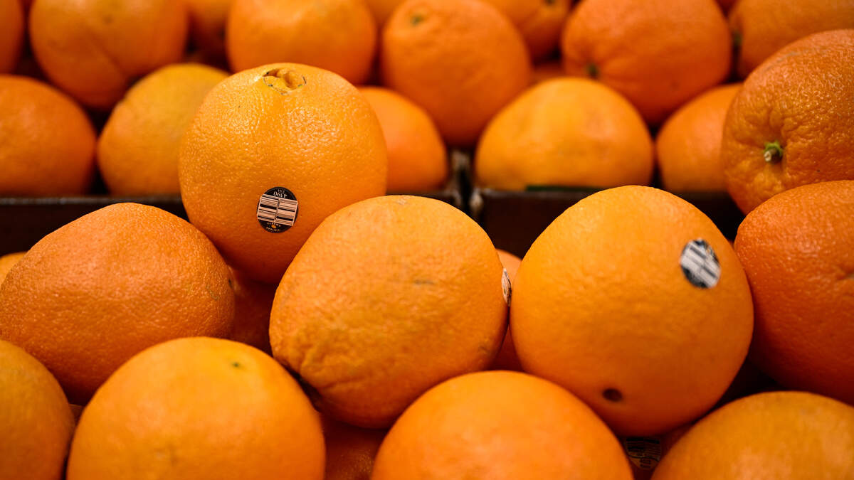 Mood-boosting perfume blends fragrance with aromatherapy science. Here is how citrus, lavender and other notes can shift your mood instantly.