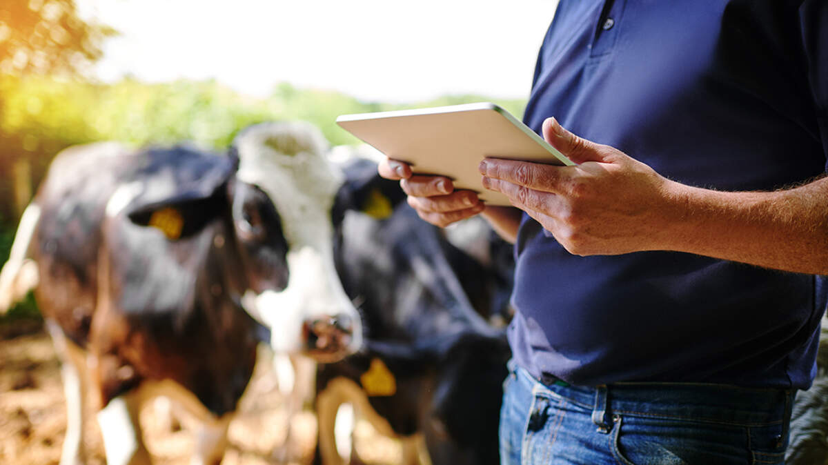 Devices such as smart ear tags and collars help farmers protect animals’ well-being — and that helps everyone.