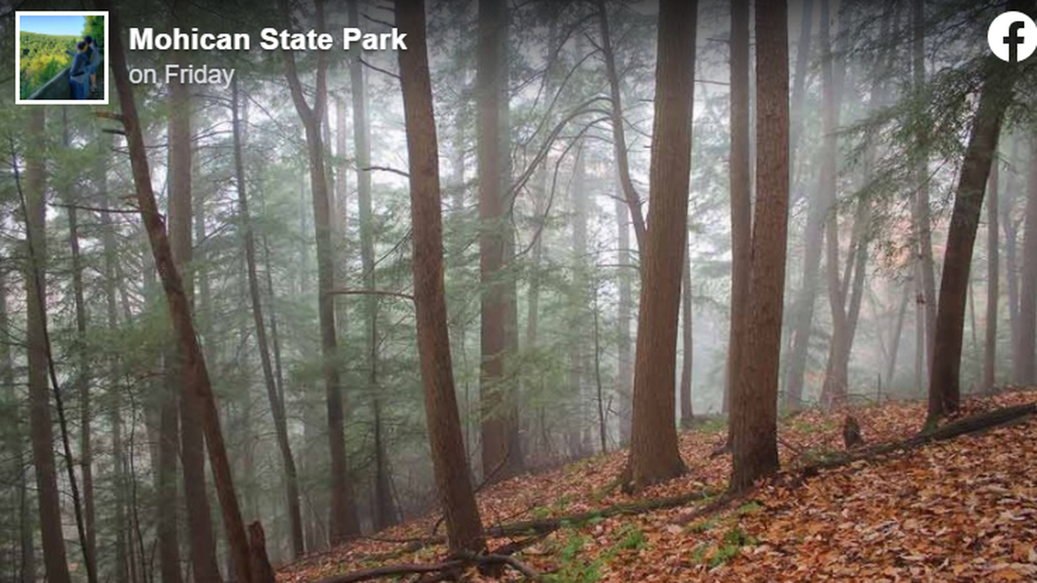 A hiker died in Ohio after a tree branch fell and hit them, state officials said.