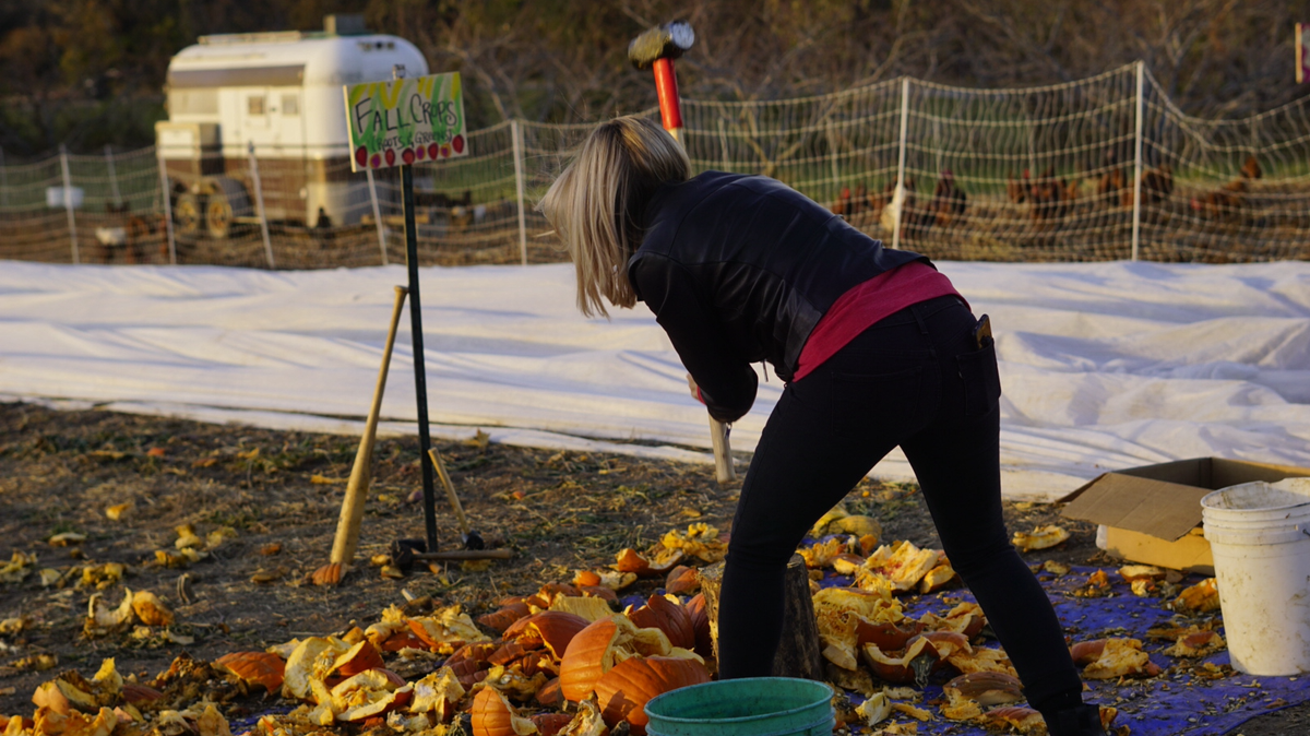 A woman smashes a pumpkin with a sledgehammer at Urbavore Urban Farm’s annual Pumpkin Smashing Party.