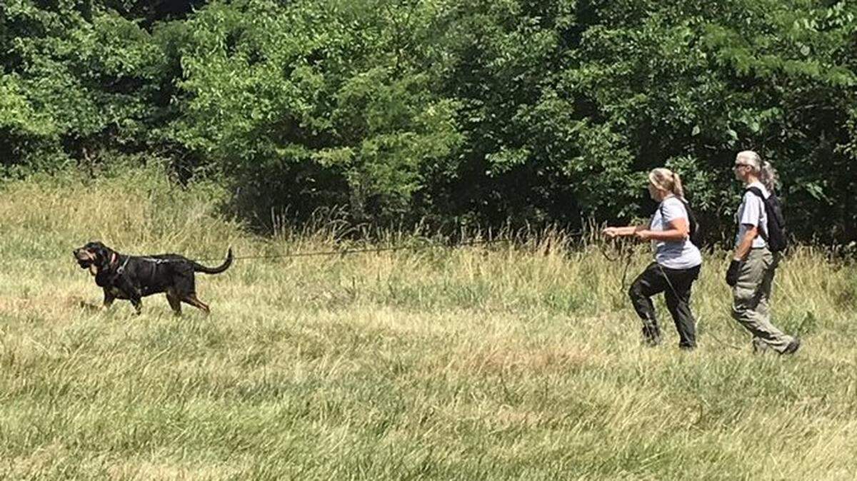 Law enforcement officers use a search and rescue dog to look for a missing hiker at Lake Jacomo.