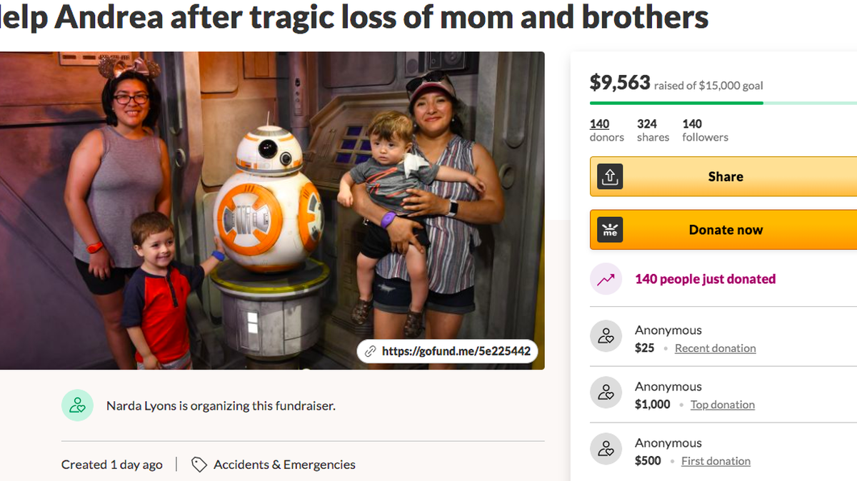 The sister of a mother who died in a boat accident launched a GoFundMe to help her niece. 
