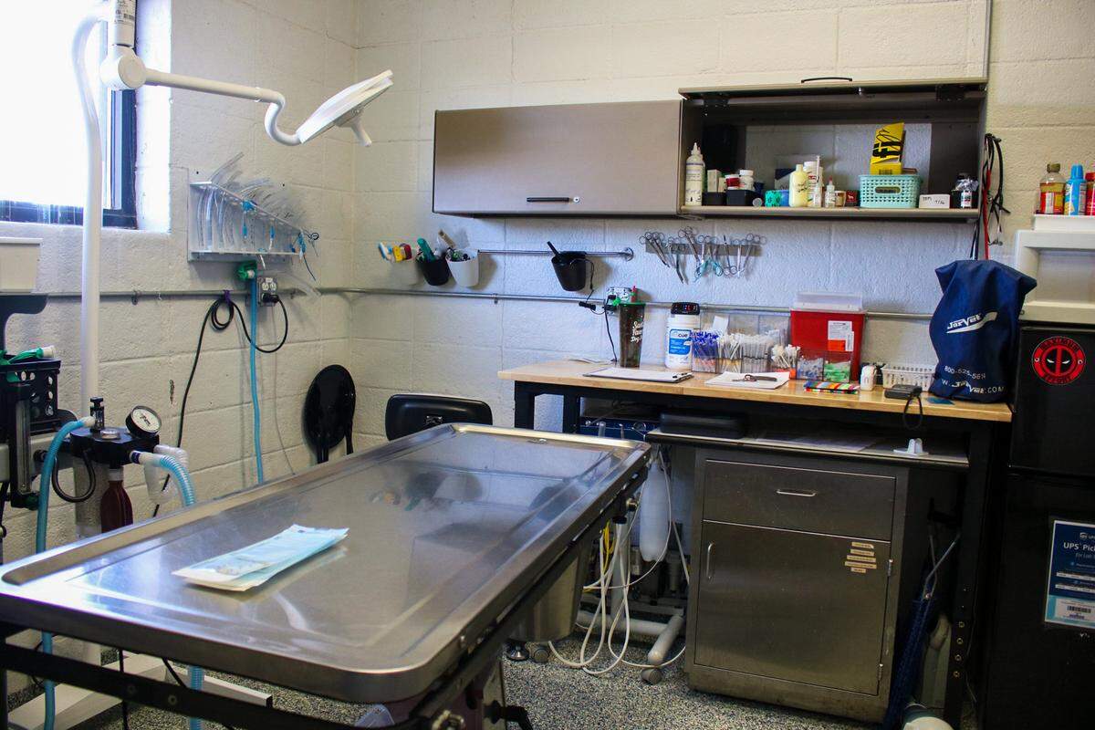 A veterinary and surgical room is seen in the Olathe Animal Shelter on March 13, 2026. A new shelter will give vets more ample space and resources to care for pets that need medical attention, a city spokesman said.