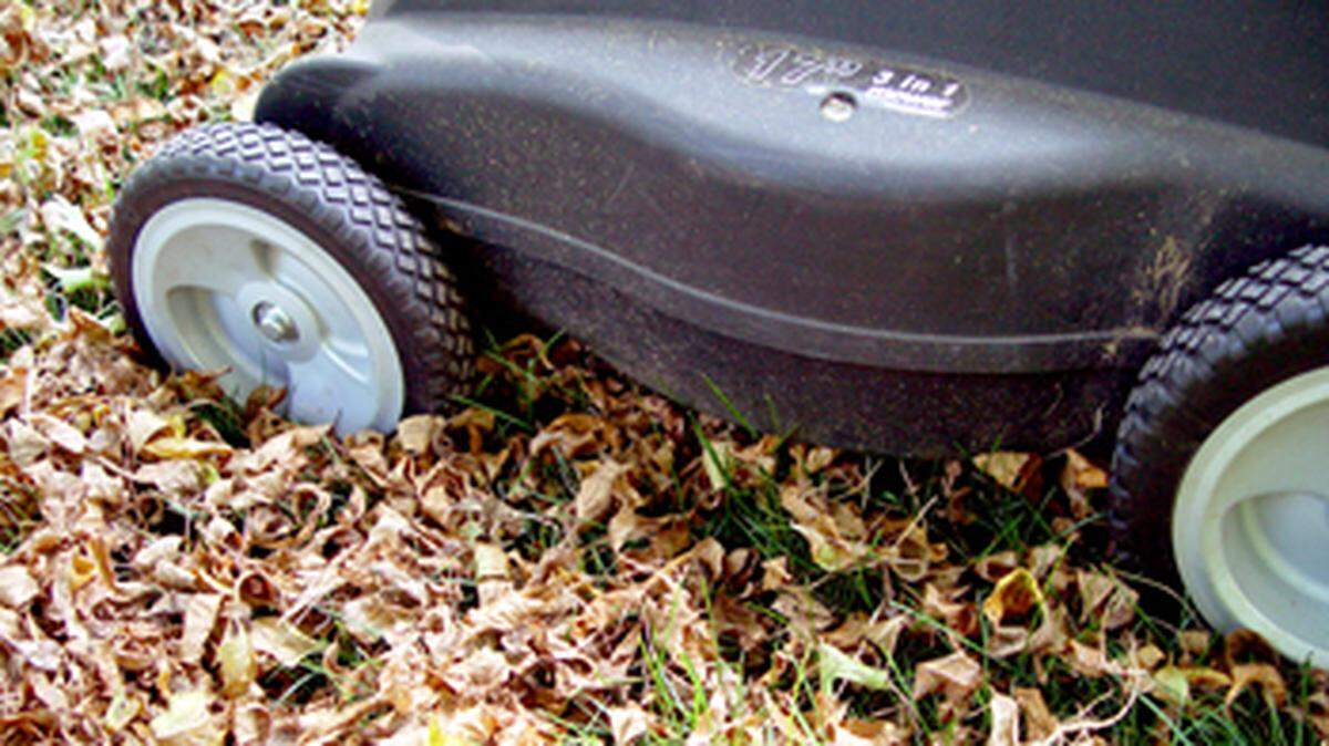 Mowing leaves is an efficient way to save time and effort. It’s also great for your lawn.