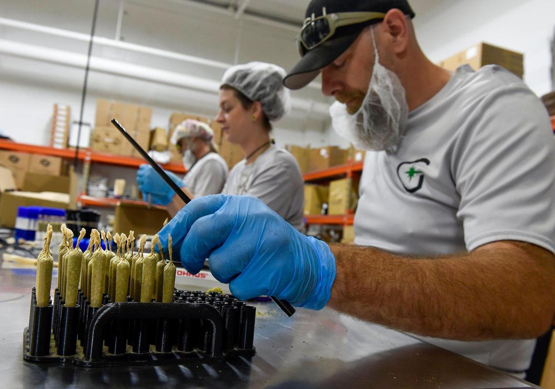 Greenlight Dispensary “manufacturing agents” work on making pre-rolled joints to be sold at the company’s dispensaries located across Missouri.