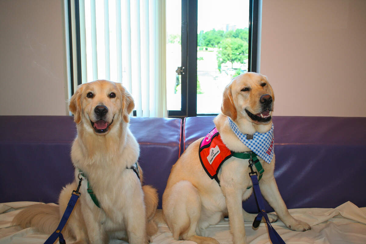 Benny and Dusty are facility dogs at Children’s Mercy, helping patients, staff and family.
