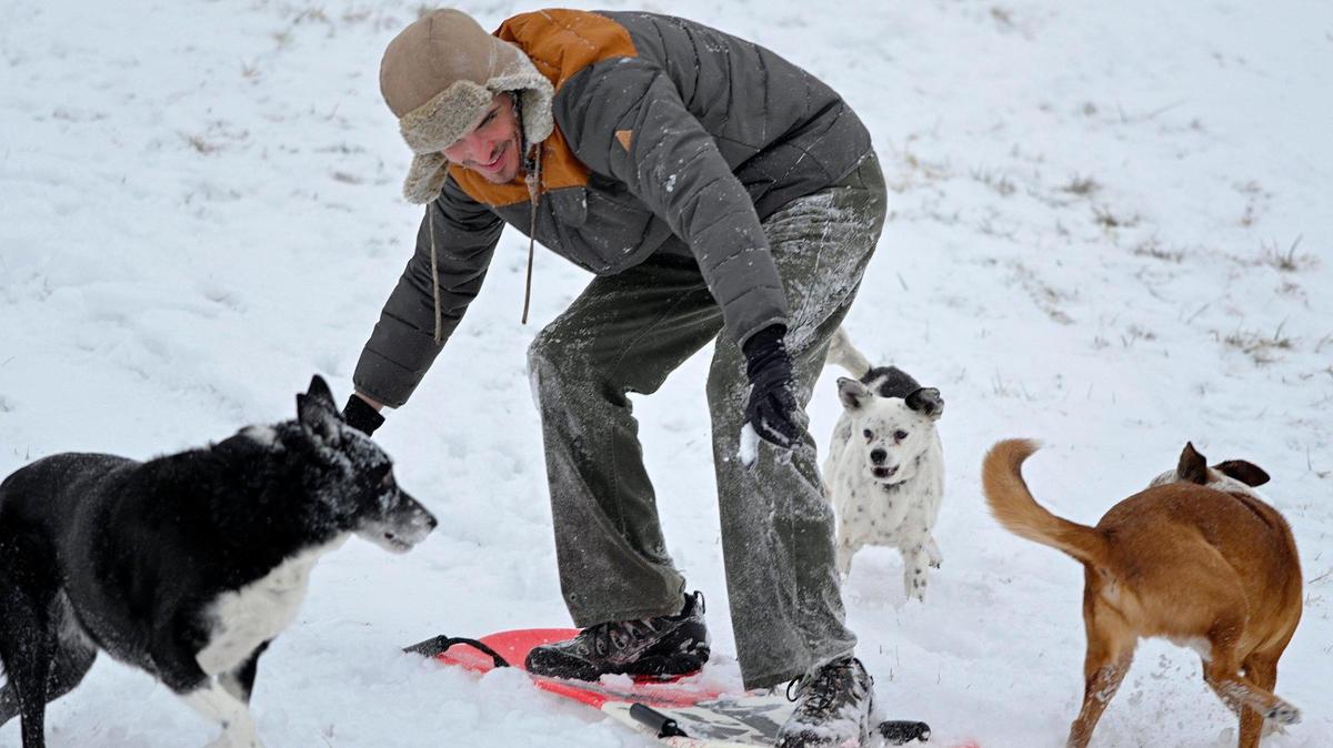 Shane Yozzo was escorted — or rather chased — by his dogs Stagger Lee, from left, Goose and Rooster as he “surfed” down a hill at Gillham Park. Two to four inches of snow fell in the Kansas City area Saturday morning, Jan. 15, 2022.
