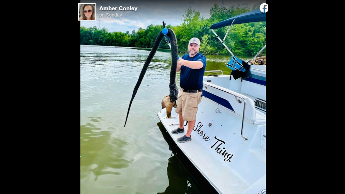 Boaters came across a dead snake with a large fish lodged in its throat at Brookville Lake in Indiana.