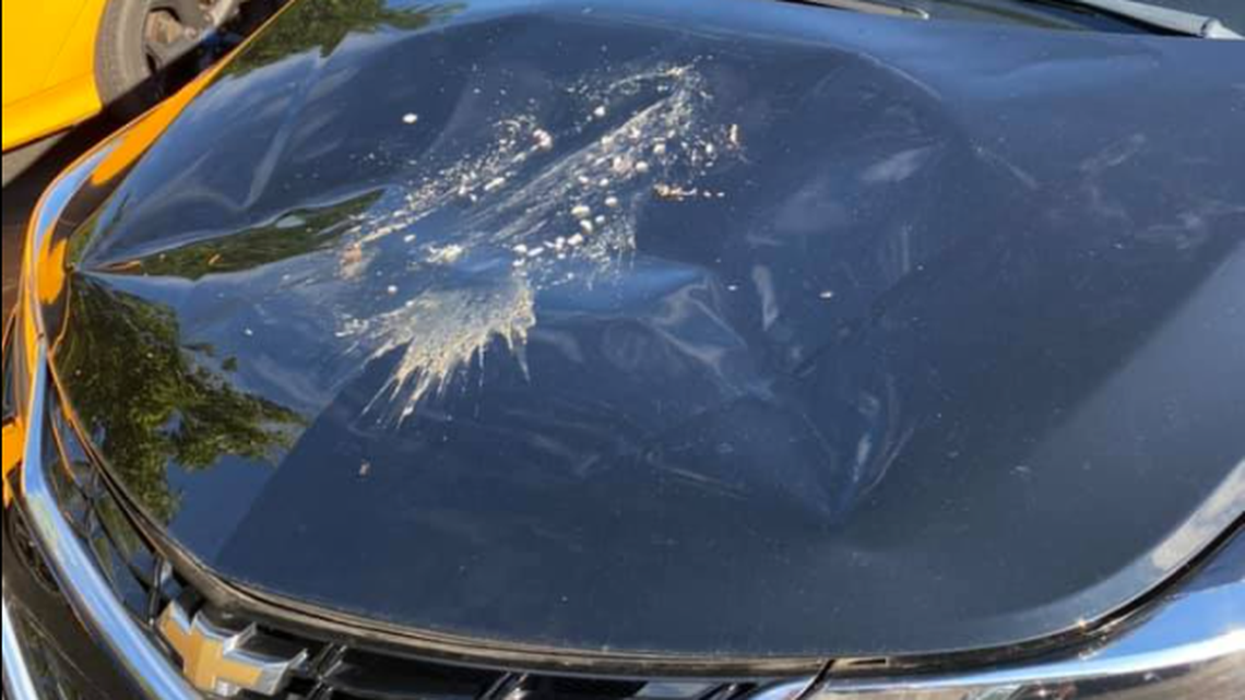 A carp fell from the sky and smashed into a car in Neenah, Wisconsin.