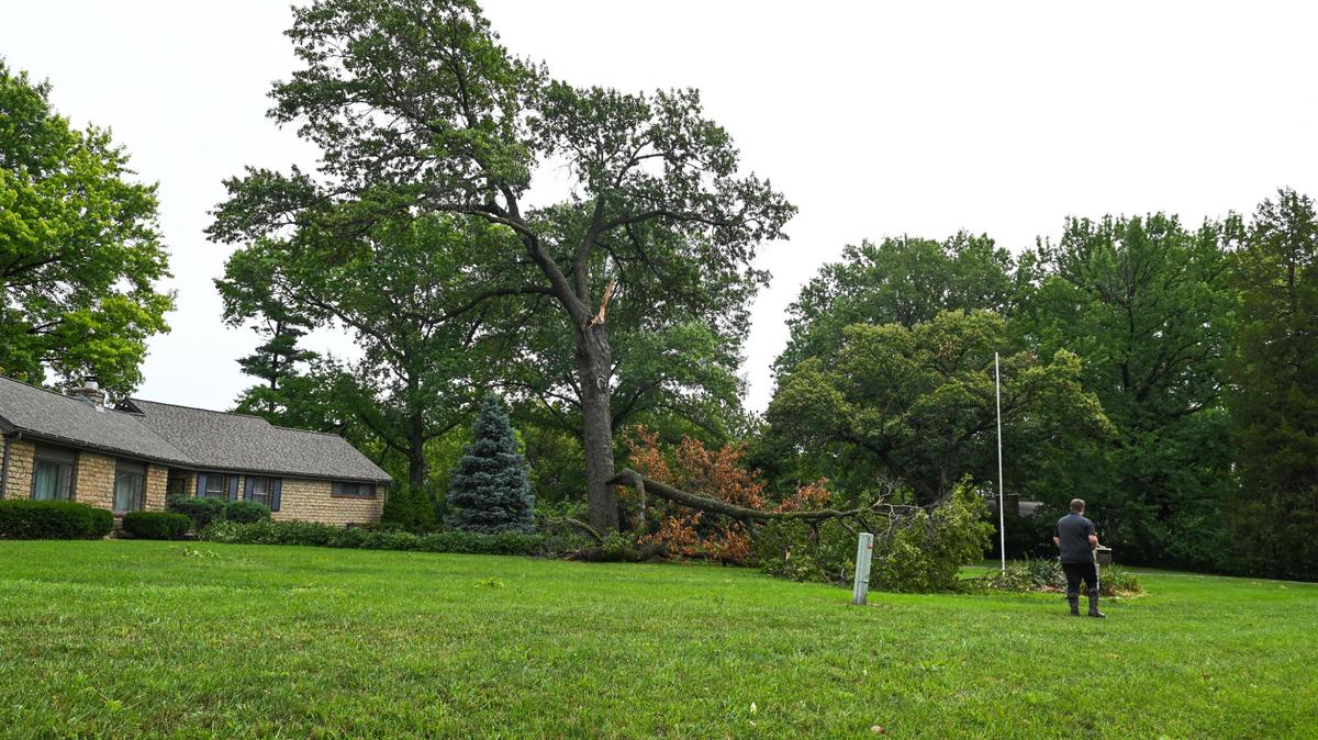 A large tree limb sits downed in the front yard of a home on Monday, July 31, 2023, in Platte Woods. Residents around the Kansas City Metro experienced power outages from rounds of storms Sunday night and Monday morning.