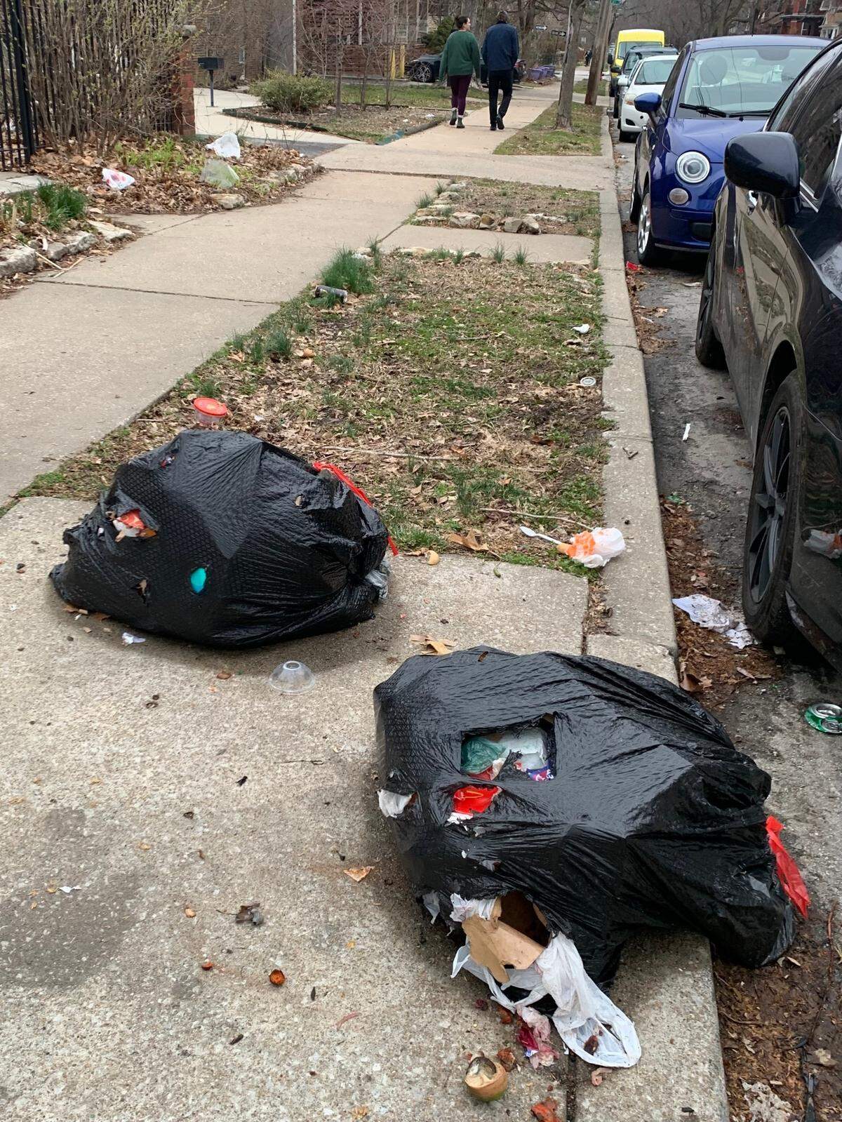 Animals got into trash bags left behind on collection day in midtown Kansas City.