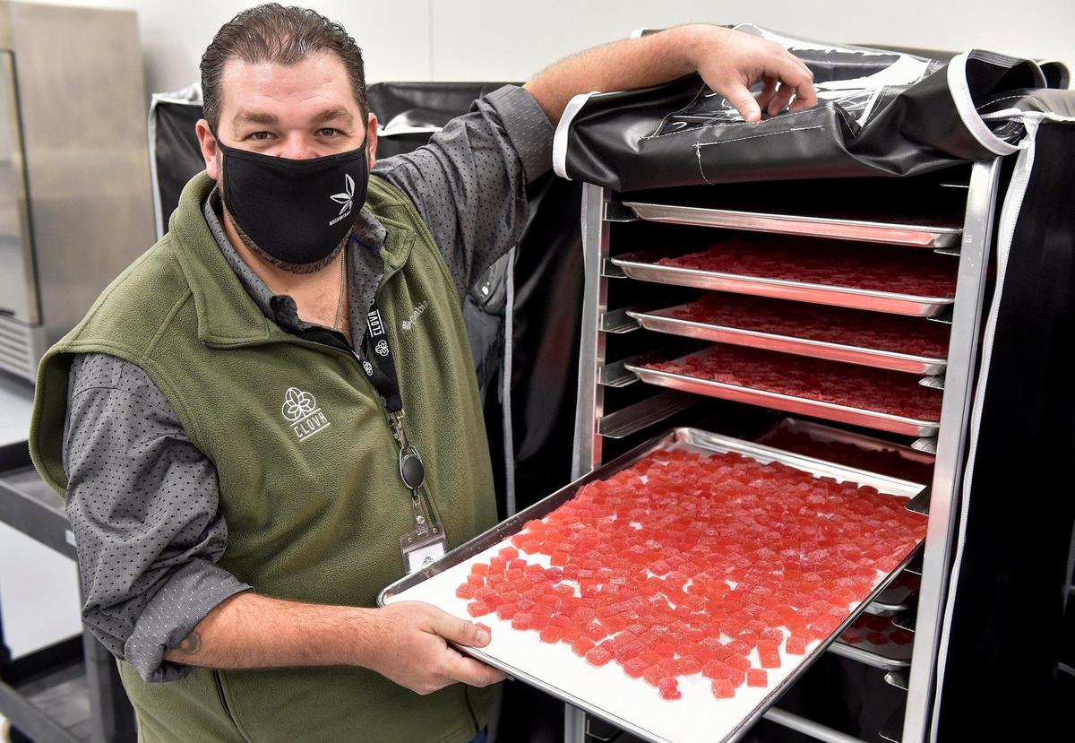 Josh Mitchem, CEO of Clovr, shows a tray of the company’s gummies, which for now do not contain cannabis. The company is awaiting approval from the state to begin production. 