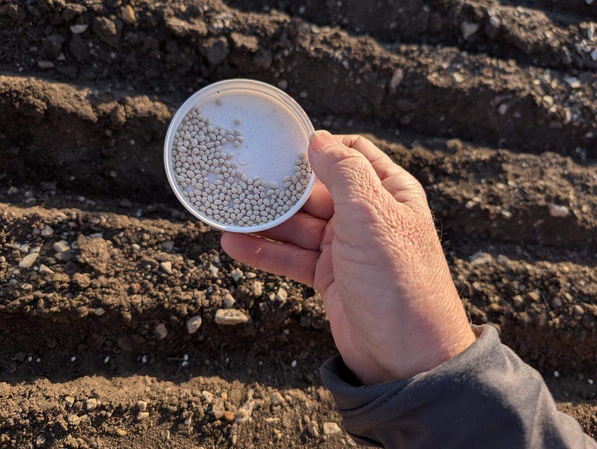 Seeds prepare to go in the ground at a Johnson County community garden