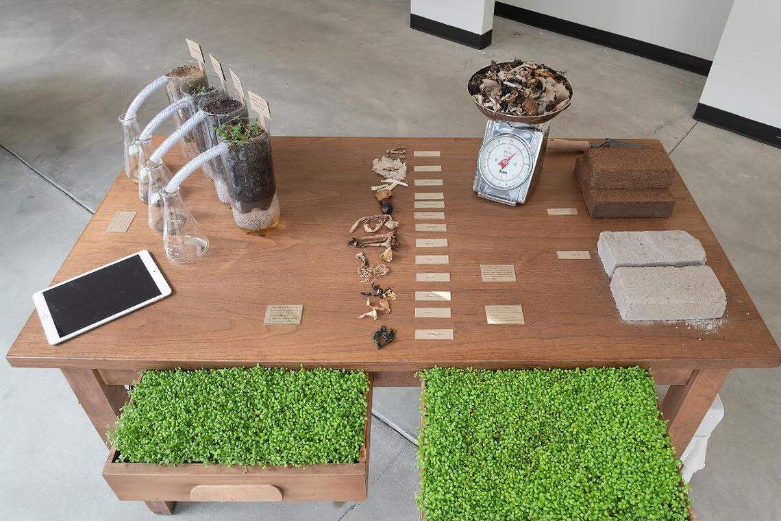 Karen McCoy’s installation, “Out of Sight, Out of Mind: Composting as Metaphor and Practice,” is part of an exhibit about artist Joseph Beuys at the Goethe Pop Up.