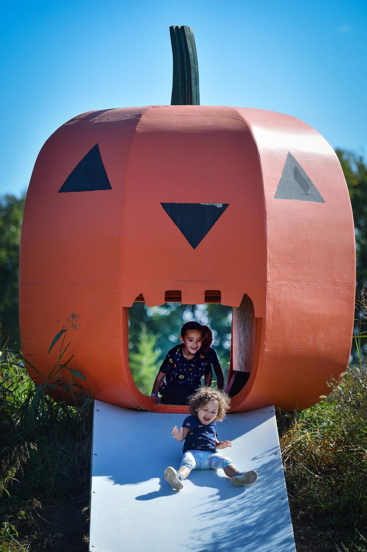 Kids slide down a pumpkin slide while visiting KC Pumpkin Patch in Olathe, Kansas. File photo