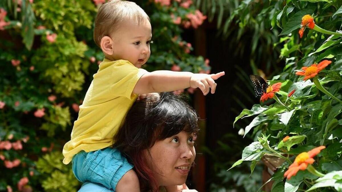 Enjoy the garden along with trail tale, story-time free when you present your library card at Powell Gardens Mid-Continent Public Library Day Sept. 7.