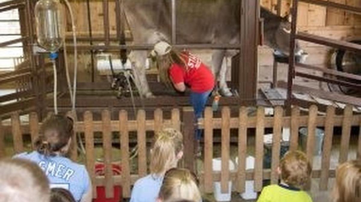 Enjoy music and dancing – and check out the animals at Deanna Rose Children’s Farmstead July 11.