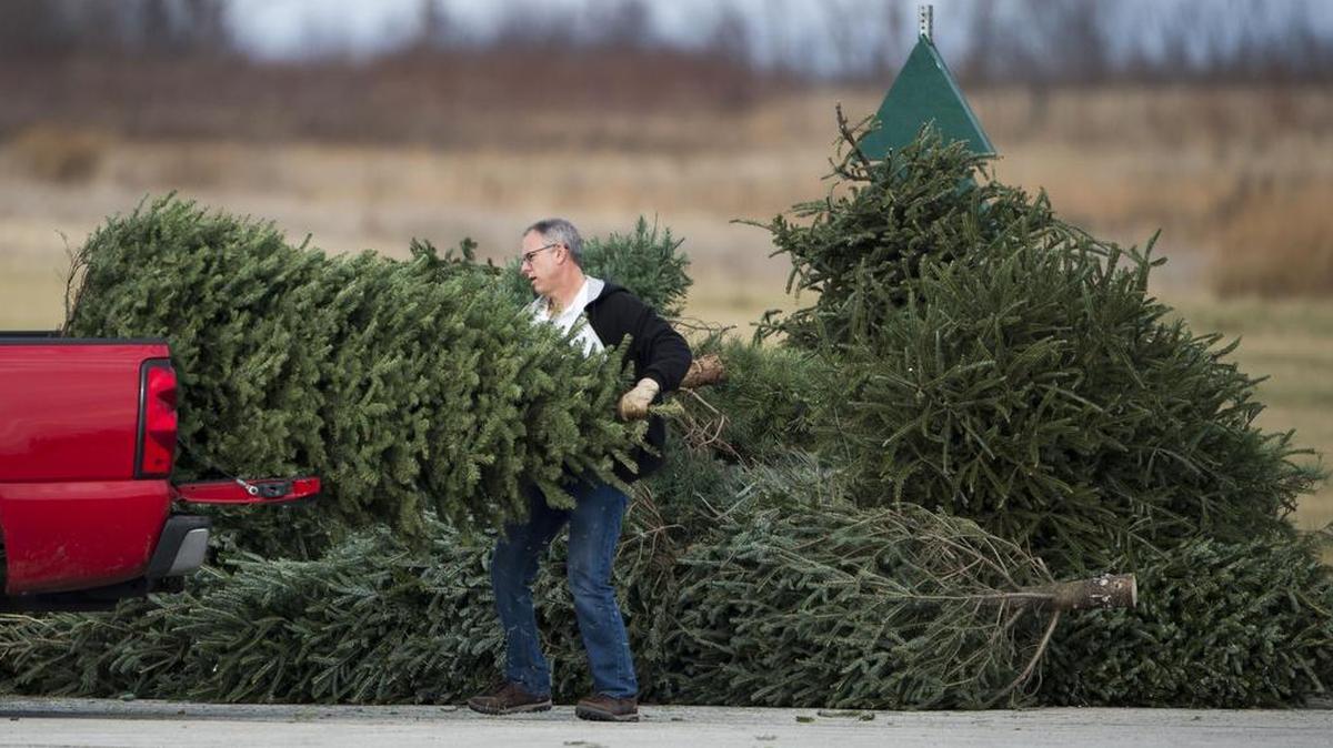 An Overland Park man adds his Christmas tree to a recycling pile in 2014.