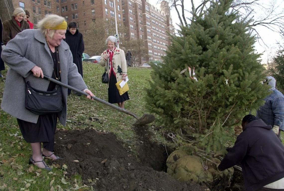 In 2000, the Women’s Public Service Network honored Laura Hockaday with a tree planted near her apartment.